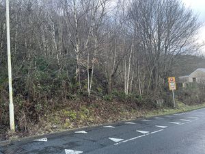 Photo 1- click for photo gallery